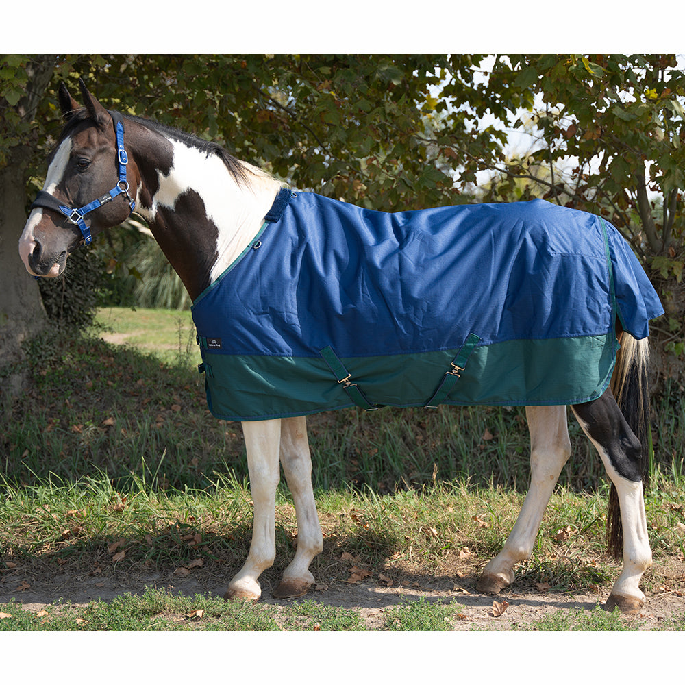 Ride & Rug | Deanna 600D 150g Turnout Rug