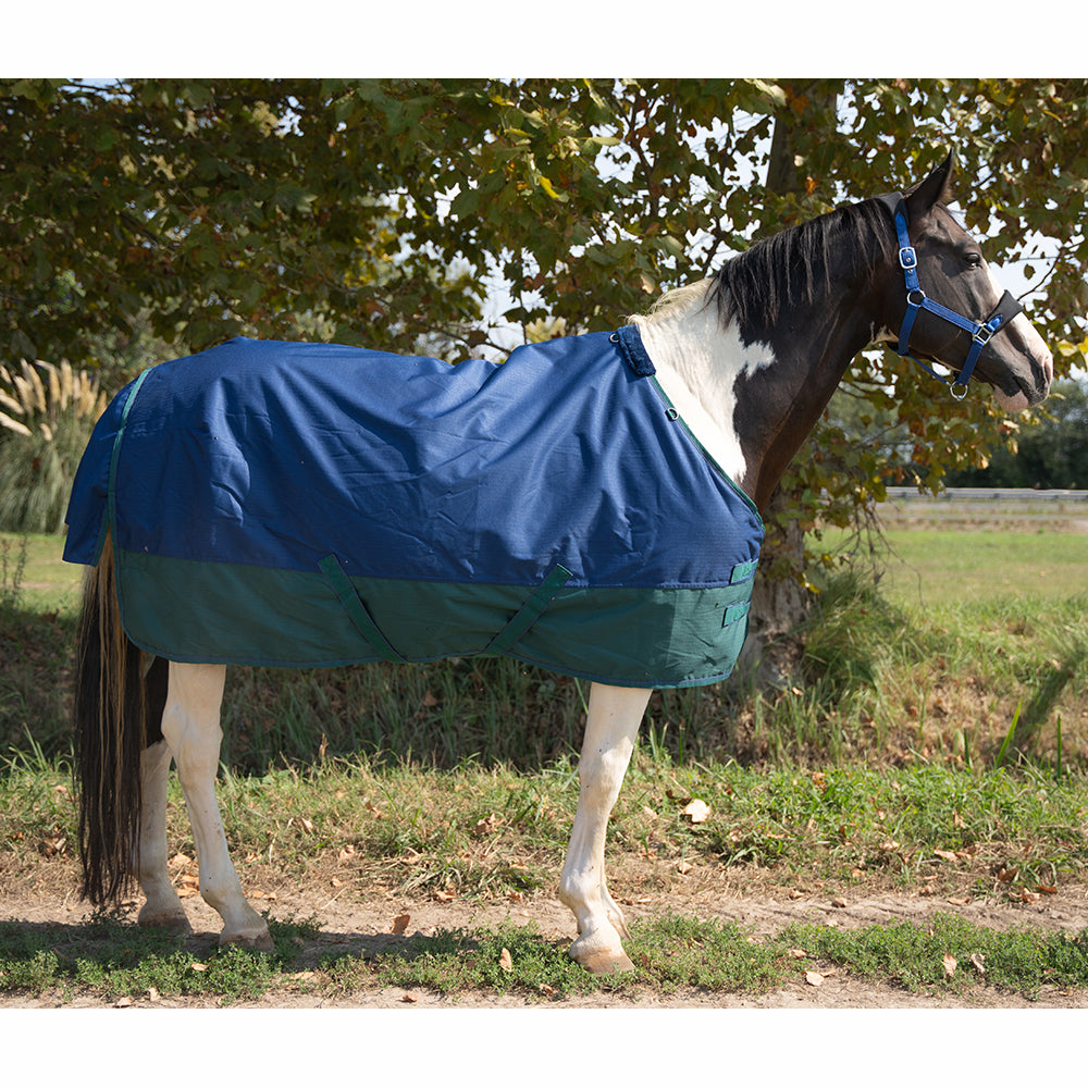 Ride & Rug | Deanna 600D 150g Turnout Rug