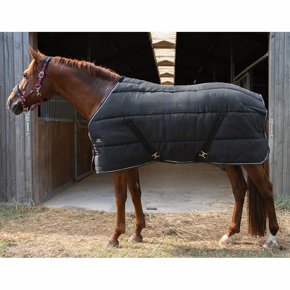 Ride & Rug | Dolene 600D 400g Box Rug