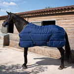 Ride & Rug | Dolene 600D 400g Box Rug