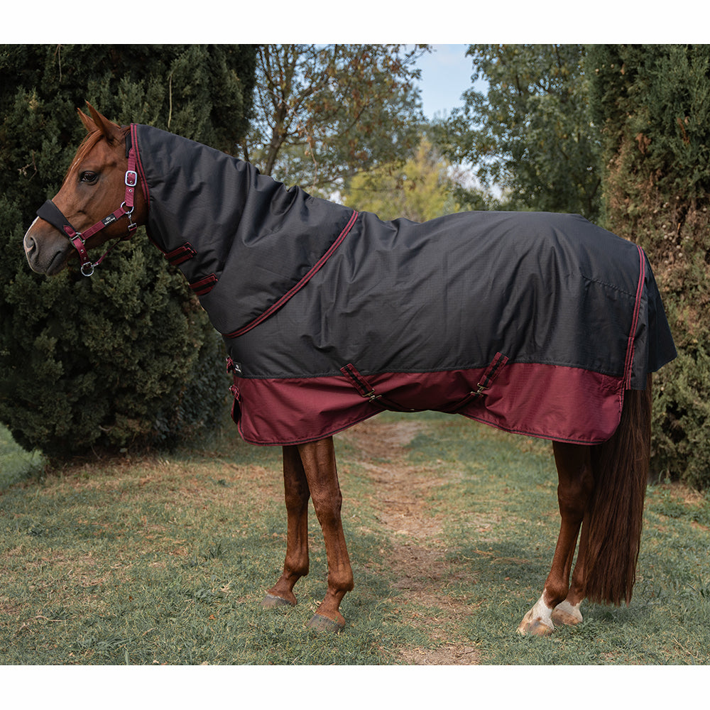 Ride & Rug | Dorene 600D 150g Neck Cover