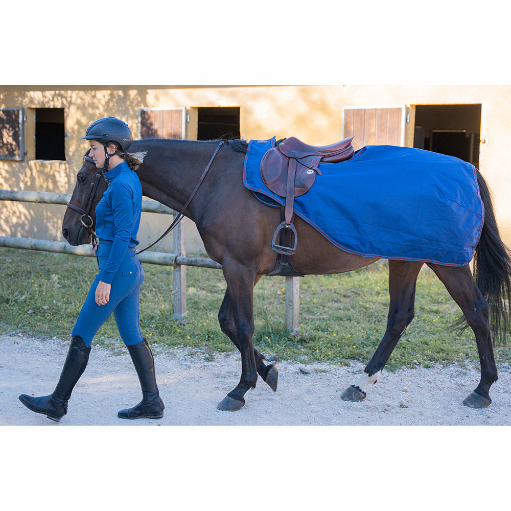 Ride & Rug | Dorinne Exercise Sheet